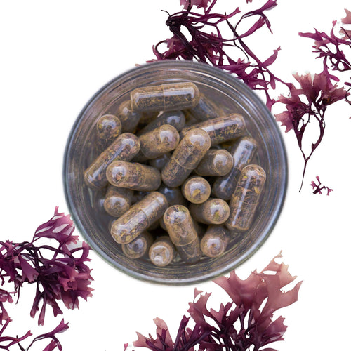 Chondrus Crispus Compound Capsules -Sea Moss capsules- Light Body Herbals